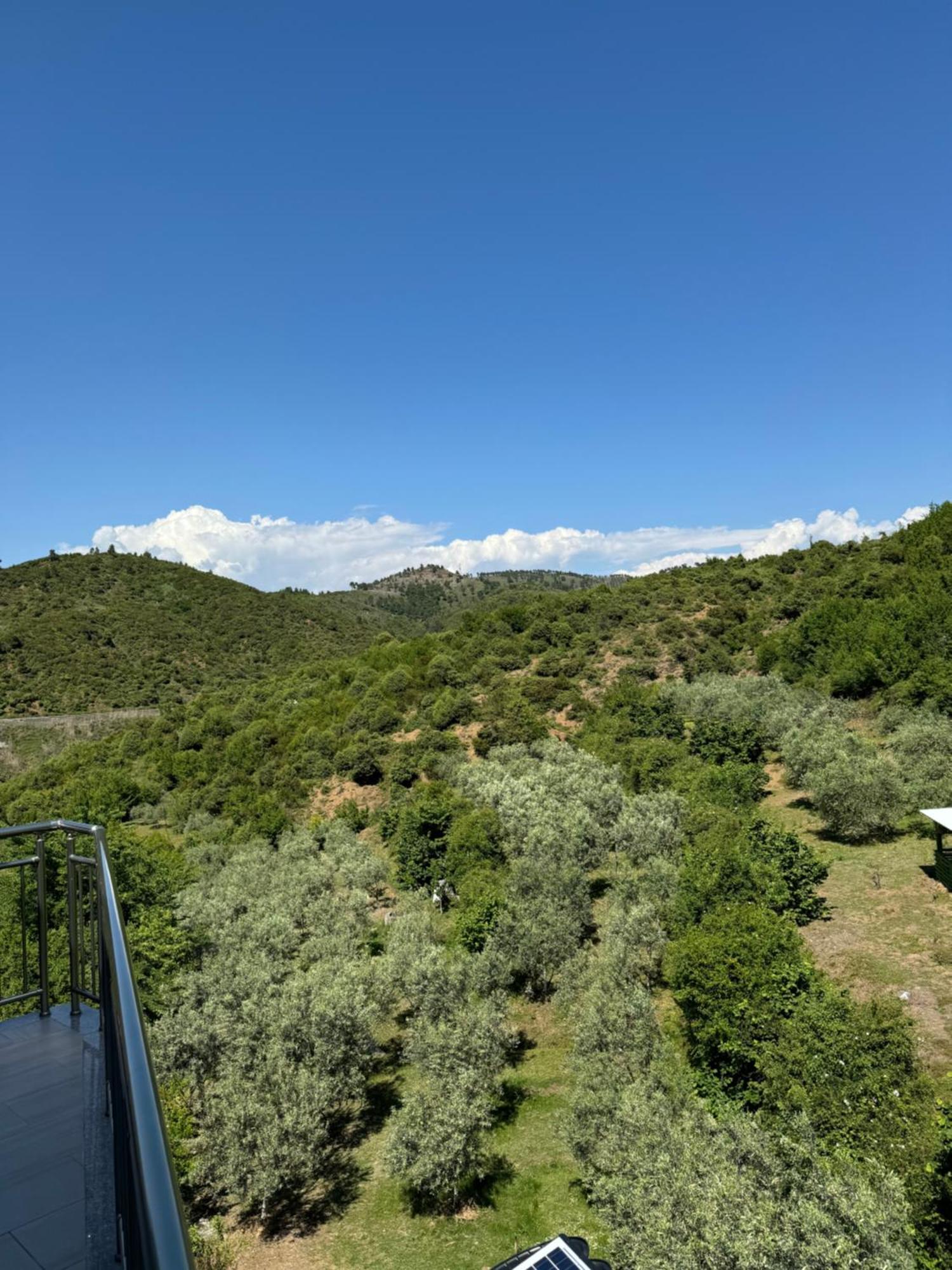 Qyteza Guest House & Camping Shkoder Ngoại thất bức ảnh
