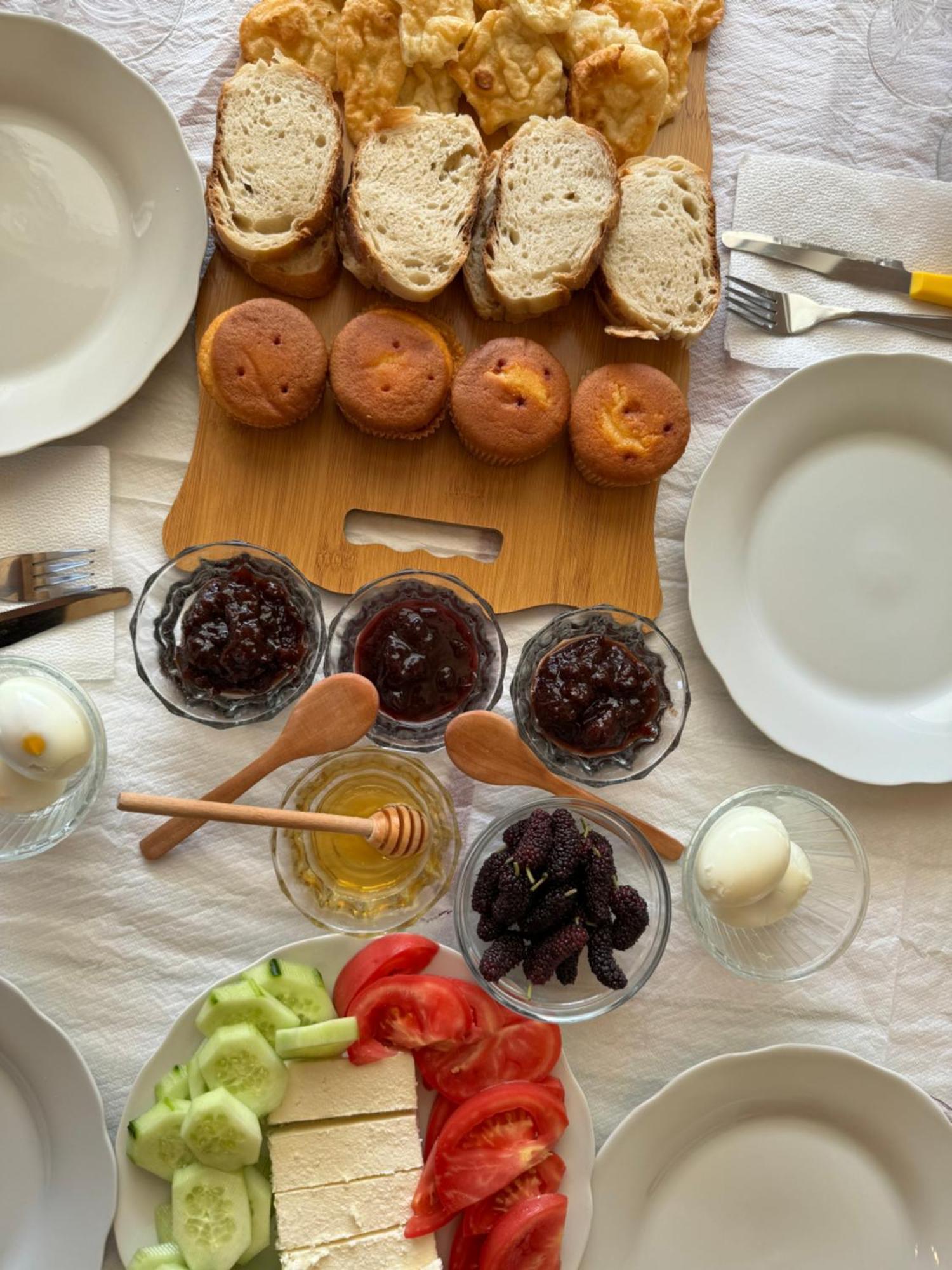 Qyteza Guest House & Camping Shkoder Ngoại thất bức ảnh