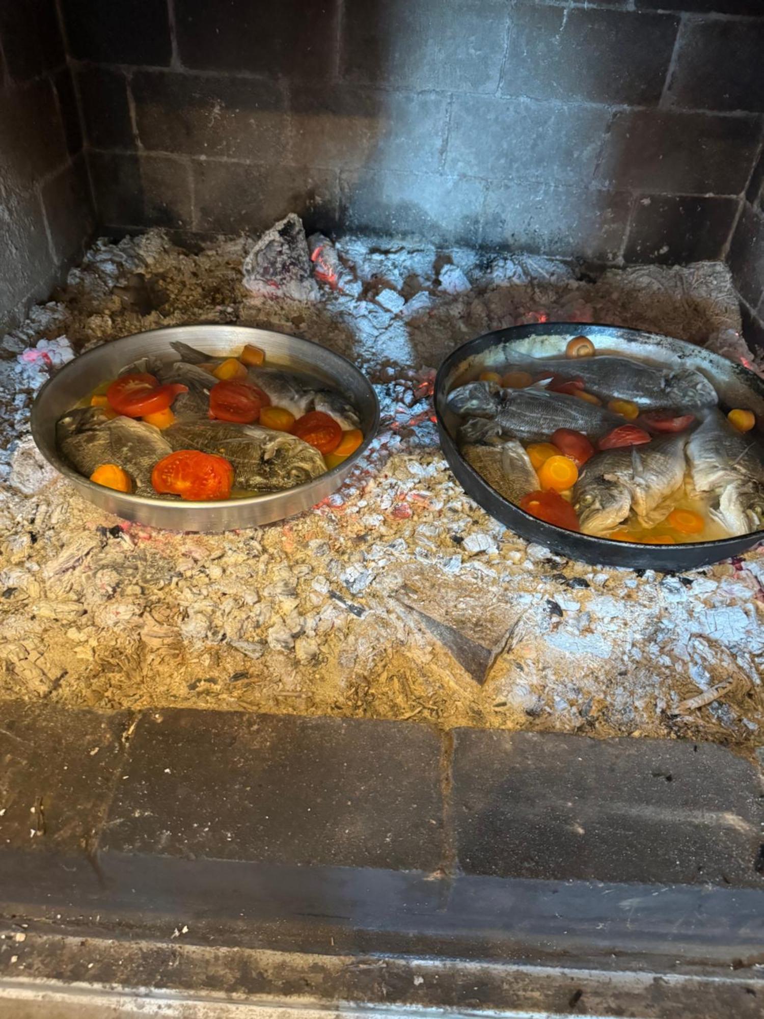 Qyteza Guest House & Camping Shkoder Ngoại thất bức ảnh